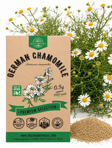 German Chamomile Seeds