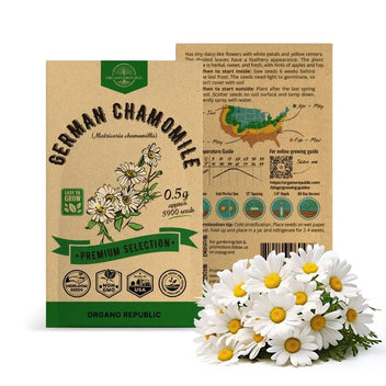 German Chamomile Seeds Pack 0.5G