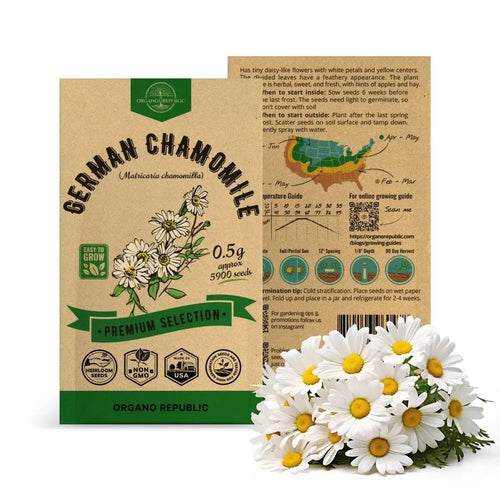German Chamomile Seeds Pack 0.5 G - Over 5,900 Non-GMO Heirloom Chamomile Seeds for Planting Herbs in Individual Seed Packet, Herbs Seeds for Planting Home Garden Indoor & Outdoor Gardening - Organo Republic