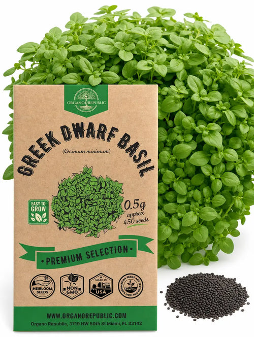 Greek Dwarf Basil Seeds