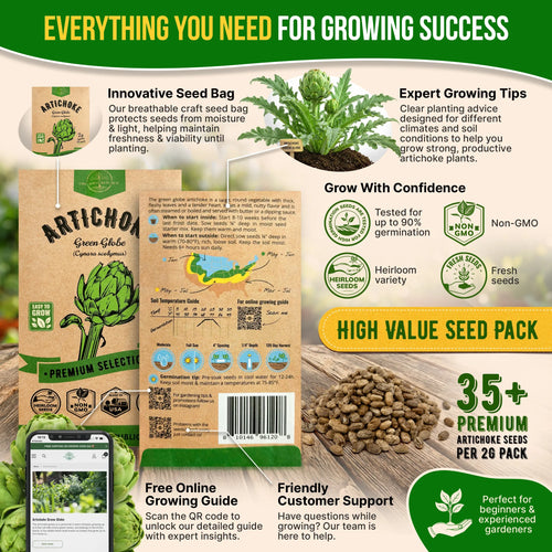 Green Globe Artichoke Seeds Pack 2G