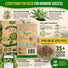 Green Globe Artichoke Seeds Pack 2G