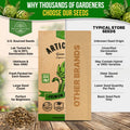 Green Globe Artichoke Seeds Pack 2G