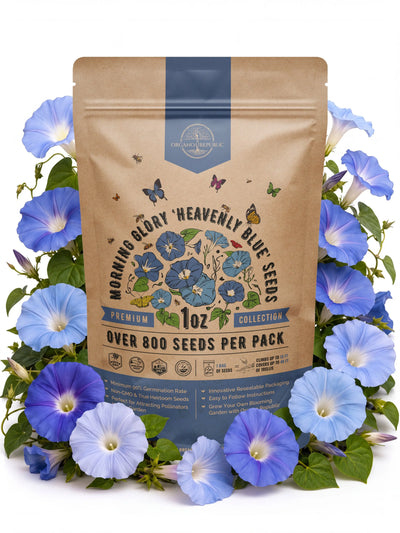 Heavenly Blue Morning Glory Seeds – Non-GMO Heirloom