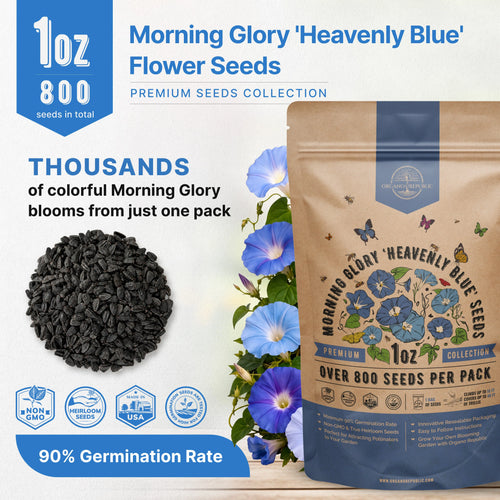 Heavenly Blue Morning Glory Seeds – Non-GMO Heirloom