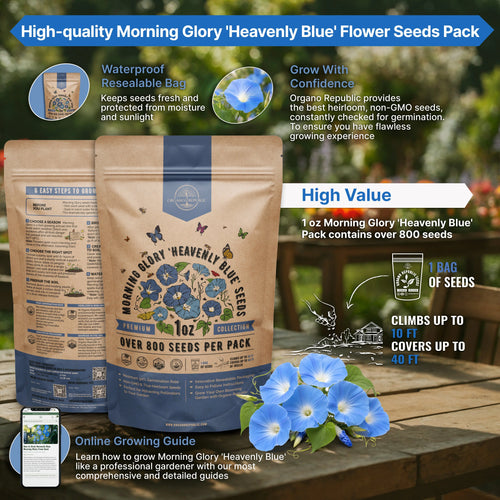 Heavenly Blue Morning Glory Seeds – Non-GMO Heirloom