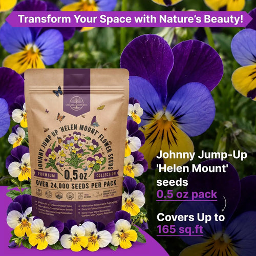 Helen Mount Johnny Jump-Up Seeds Organo Republic