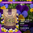 Helen Mount Johnny Jump-Up Seeds Organo Republic