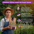Helen Mount Johnny Jump-Up Seeds Organo Republic