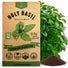 Holy Basil Seeds Pack 0.5G