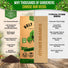Holy Basil Seeds Pack 0.5G