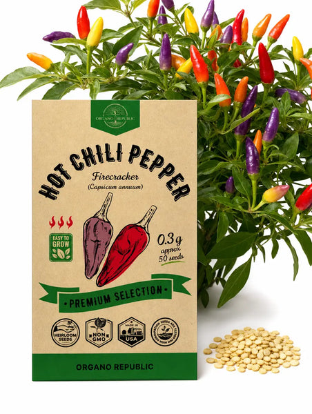 Hot Chilli Pepper Firecracker Seeds