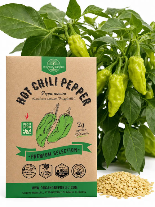 Hot Chilli Pepper Pepperoncini Seeds