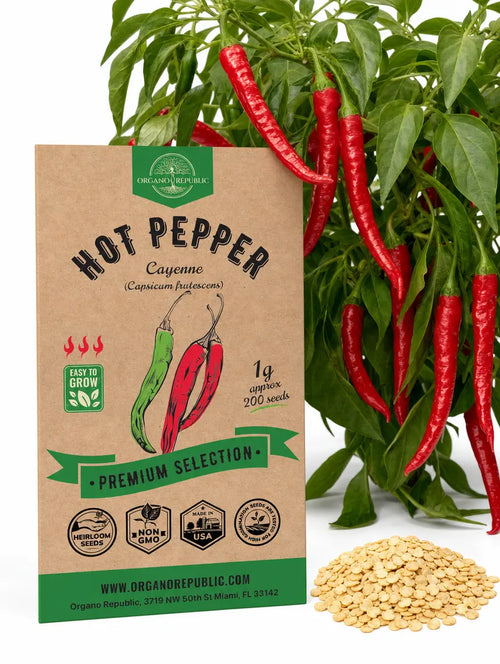 Hot Pepper Cayenne Seeds