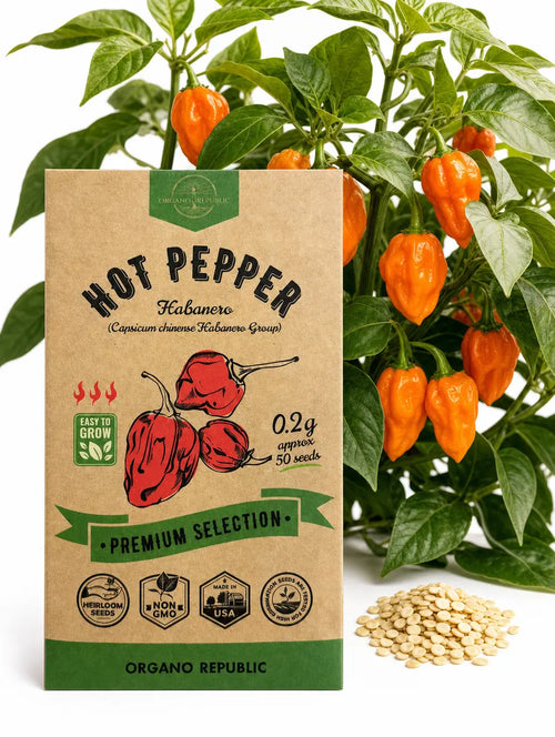 Hot Pepper Habanero Seeds