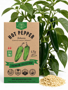 Jalapeno Pepper Seeds – Non-GMO Heirloom