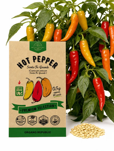 Hot Pepper Santa Fe Grande Seeds