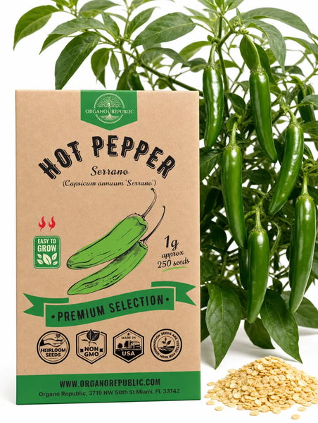 Hot Pepper Serrano Seeds - Organo Republic