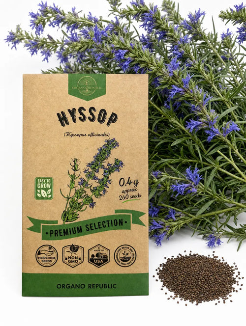 Hyssop Seeds