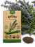 Hyssop Seeds