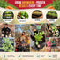 Imperator 58 Carrot Seeds Pack 2G