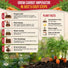 Imperator 58 Carrot Seeds Pack 2G