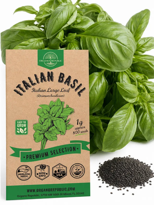 Sweet Basil Seeds – Italian Large Leaf, Non-GMO Heirloom