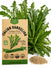 Italian Dandelion - Catalogna Chicory Seeds