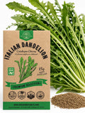 Italian Dandelion Catalogna Chicory Seeds – Non-GMO Heirloom