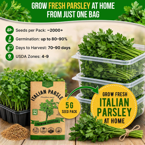 Italian Parsley Seeds Pack 5G