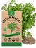 Italian Parsley Seeds - Organo Republic