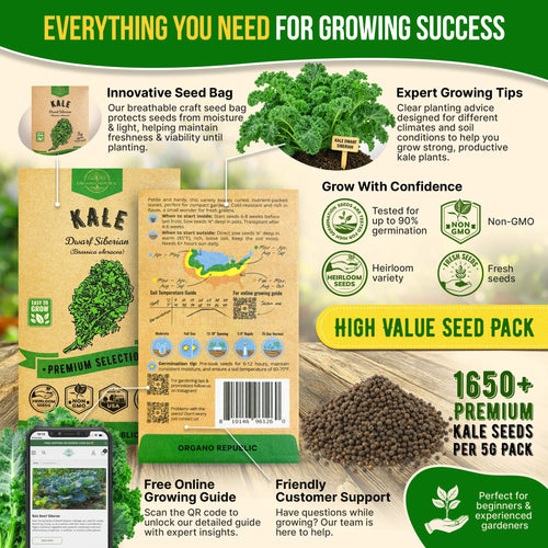 Kale Dwarf Siberian Seeds Pack 5G