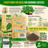 Kale Dwarf Siberian Seeds Pack 5G