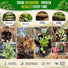 Kale Dwarf Siberian Seeds Pack 5G