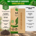 Kale Dwarf Siberian Seeds Pack 5G