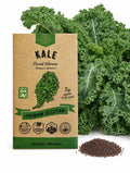 Siberian Kale Seeds – Dwarf, Non-GMO Heirloom