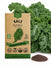 Kale Dwarf Siberian Seeds
