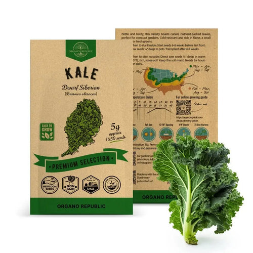 Kale Dwarf Siberian Seeds Pack 5 G - Over 1,650 Non-GMO Heirloom Kale Seeds for Planting Greens in Individual Seed Packet, Greens Seeds for Planting Home Garden Indoor & Outdoor Gardening - Organo Republic