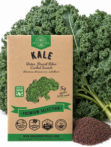 Vates Dwarf Blue Curled Scotch Kale Seeds – Non-GMO Heirloom
