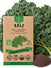 Kale Vates, Dwarf Blue Curled Scotch Seeds - Organo Republic