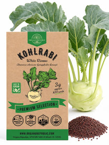 White Vienna Kohlrabi Seeds – Non-GMO Heirloom
