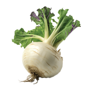 Kohlrabi White Vienna - 1G