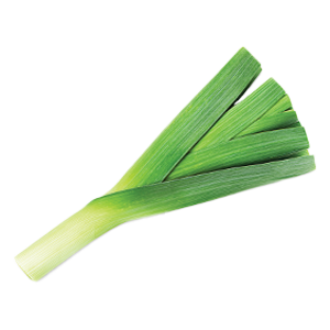 Onion Leek - 1G