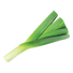 Onion Leek - 1G