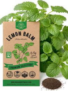 Lemon Balm Seeds – Non-GMO Heirloom