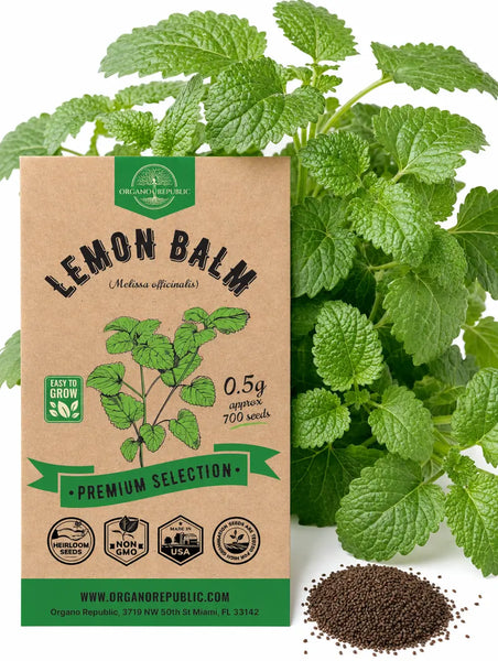 Lemon Balm Seeds - Organo Republic