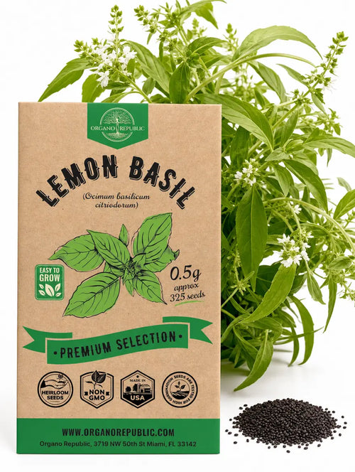 Lemon Basil Seeds