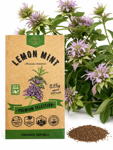 Lemon Mint Seeds – Non-GMO Heirloom