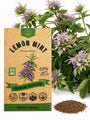 Lemon Mint Seeds