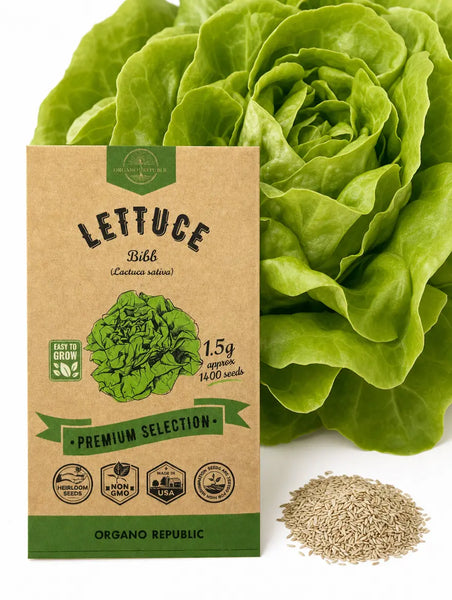 Lettuce Bibb Seeds